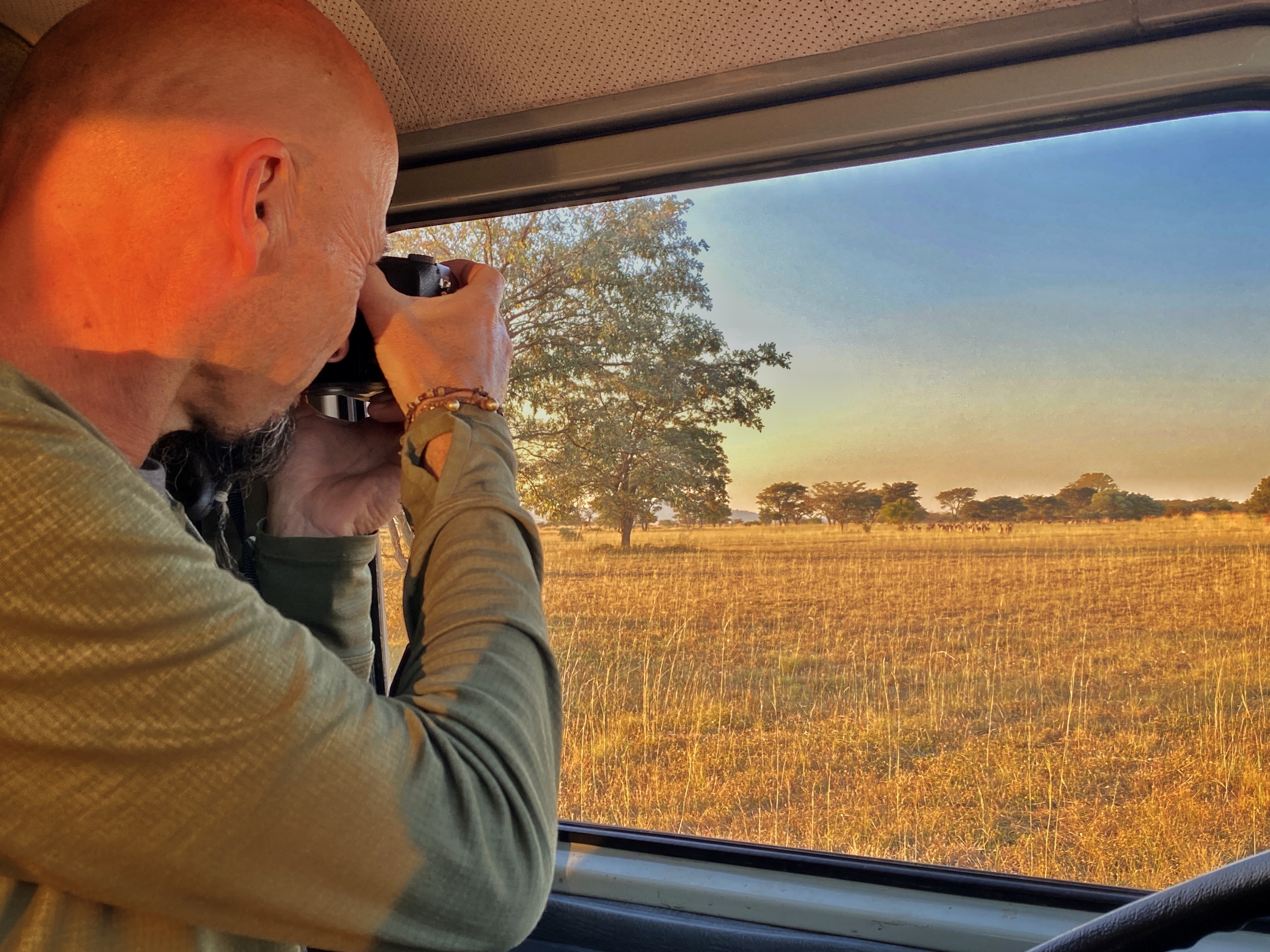 Observation animalière depuis Oscar